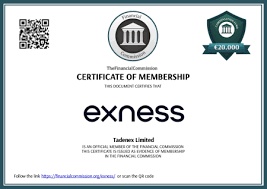 Guide to MetaTrader 4 Exness for PC A Comprehensive Overview Guide to MetaTrader 4 Exness for PC A Comprehensive Overview